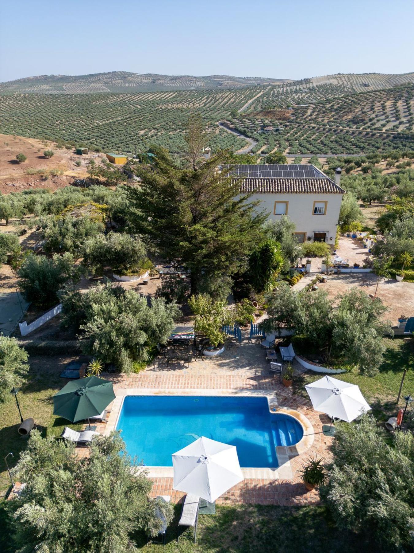 Agroturismo Ecologico El Cortijillo Luque Екстериор снимка