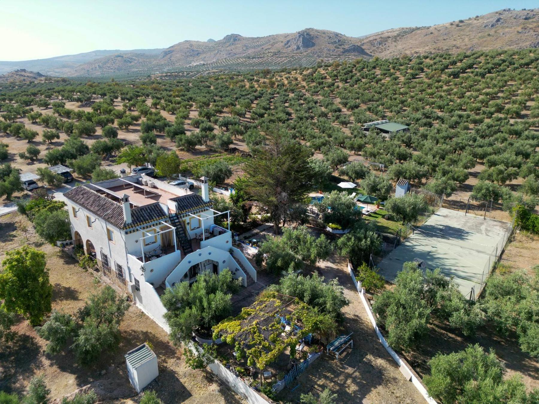Agroturismo Ecologico El Cortijillo Luque Екстериор снимка