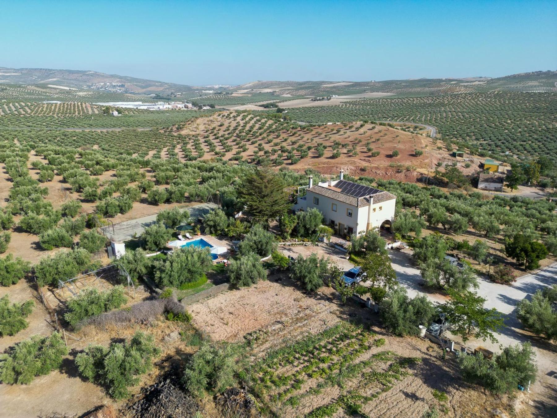 Agroturismo Ecologico El Cortijillo Luque Екстериор снимка