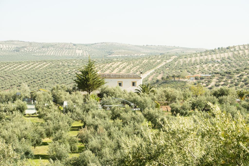 Agroturismo Ecologico El Cortijillo Luque Екстериор снимка