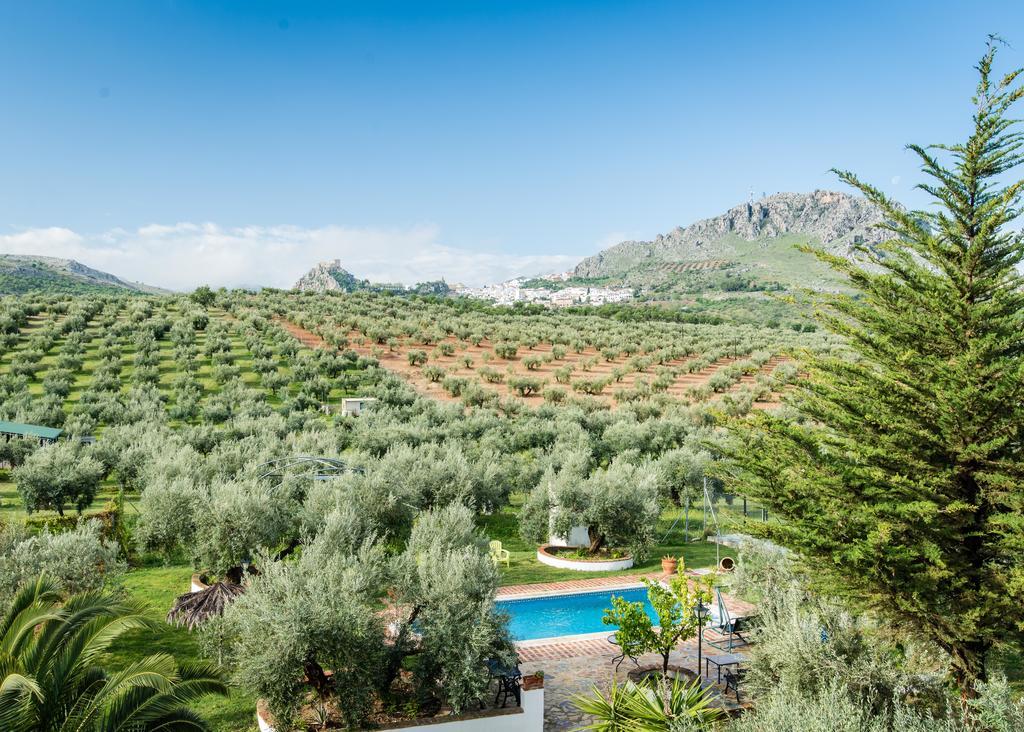 Agroturismo Ecologico El Cortijillo Luque Екстериор снимка
