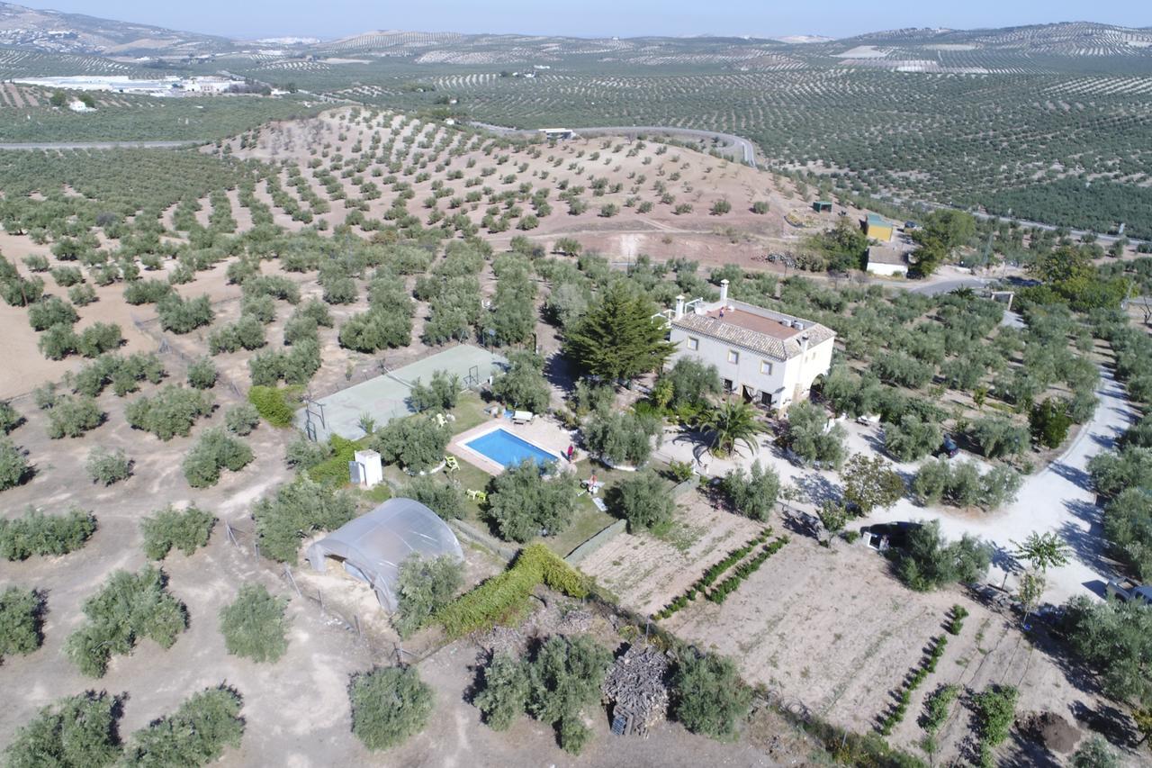 Agroturismo Ecologico El Cortijillo Luque Екстериор снимка