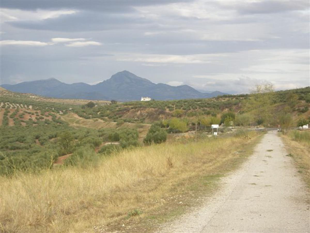 Agroturismo Ecologico El Cortijillo Luque Екстериор снимка